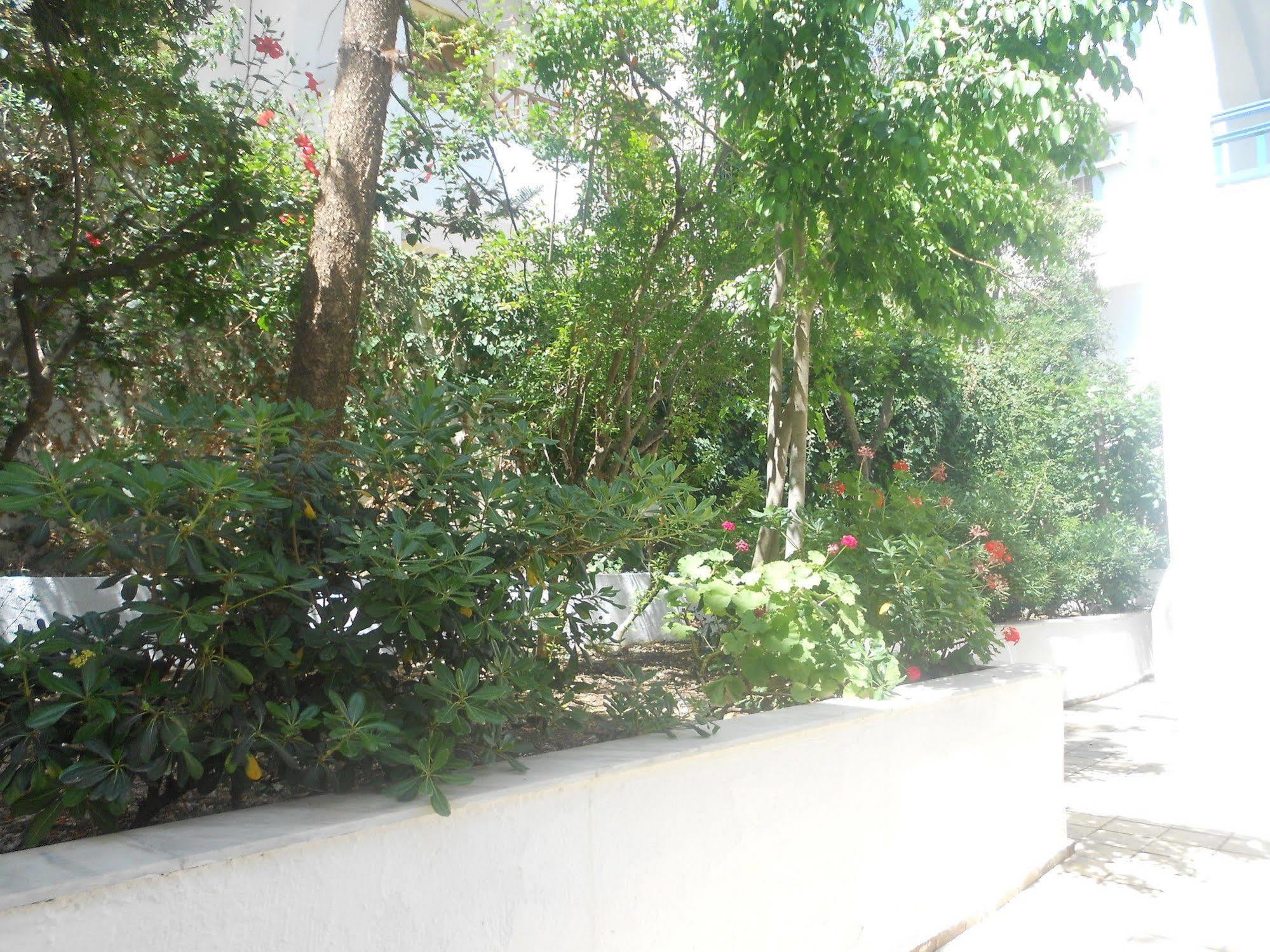 Elalia Apartments 赫索尼索斯 外观 照片